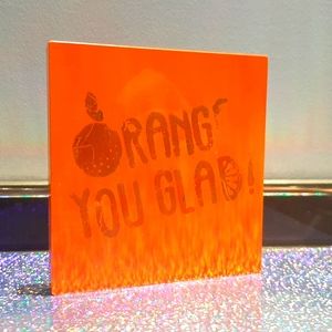 Orange You Glad Eyeshadow Palette